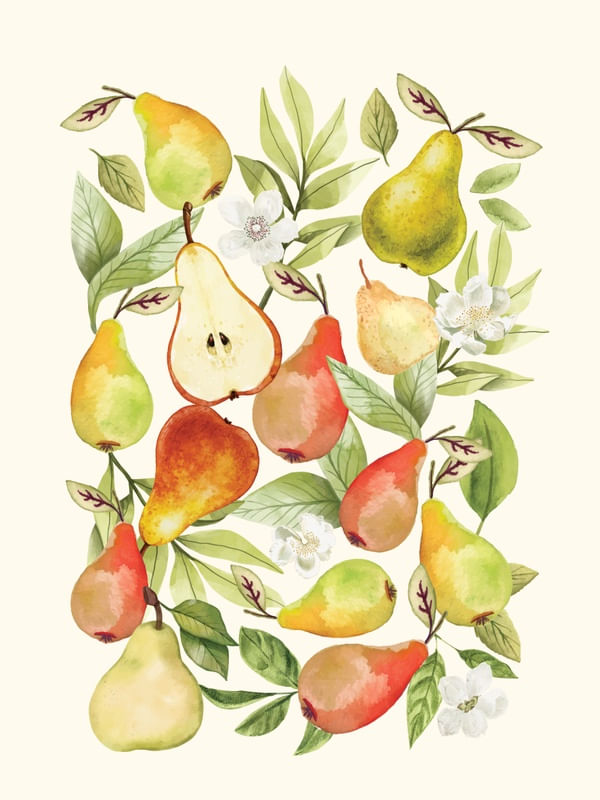 WATERCOLOR PEARS