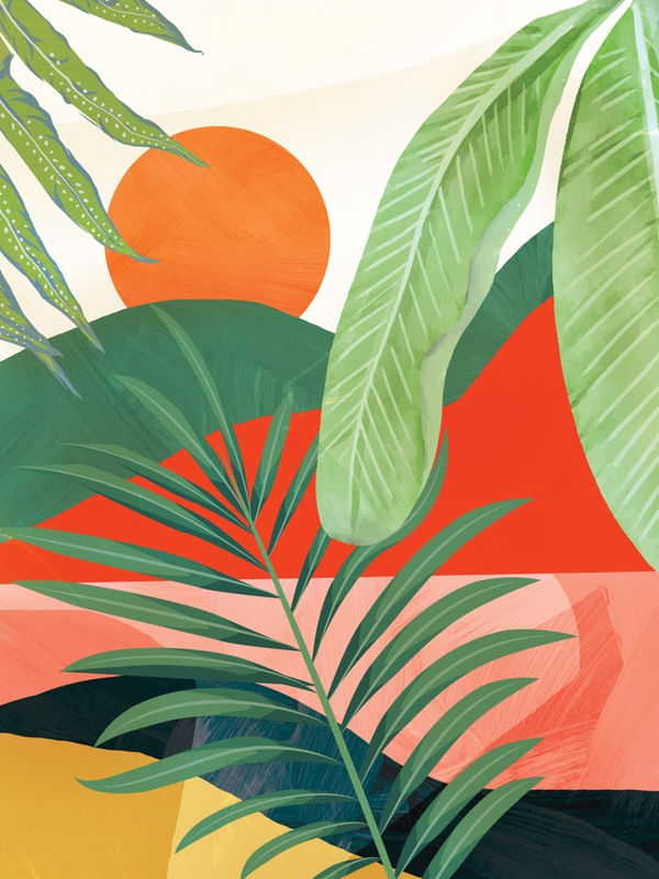 A TROPICAL SUMMER DAY 1