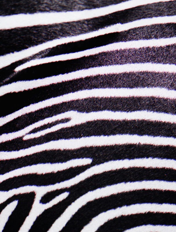 ZEBRA LISTRAS