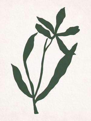 MINIMALIST PLANT - VE01