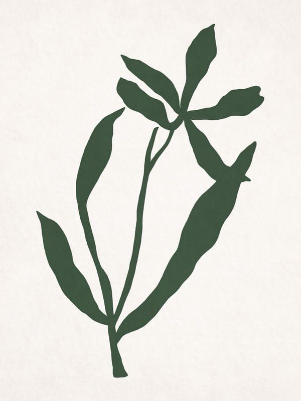 MINIMALIST PLANT - VE01