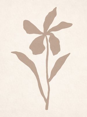 MINIMALIST PLANT - NE01