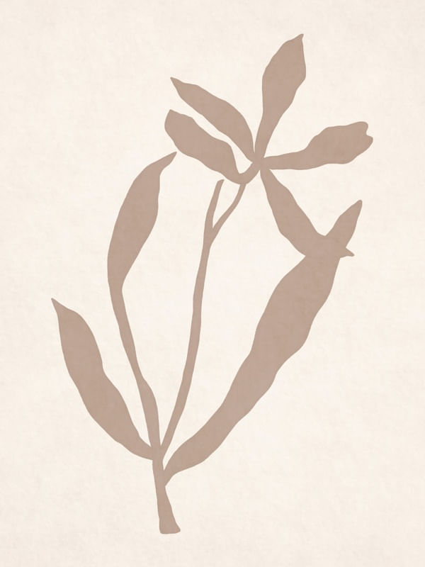 MINIMALIST PLANT - NE02