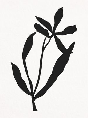 MINIMALIST PLANT - PB01