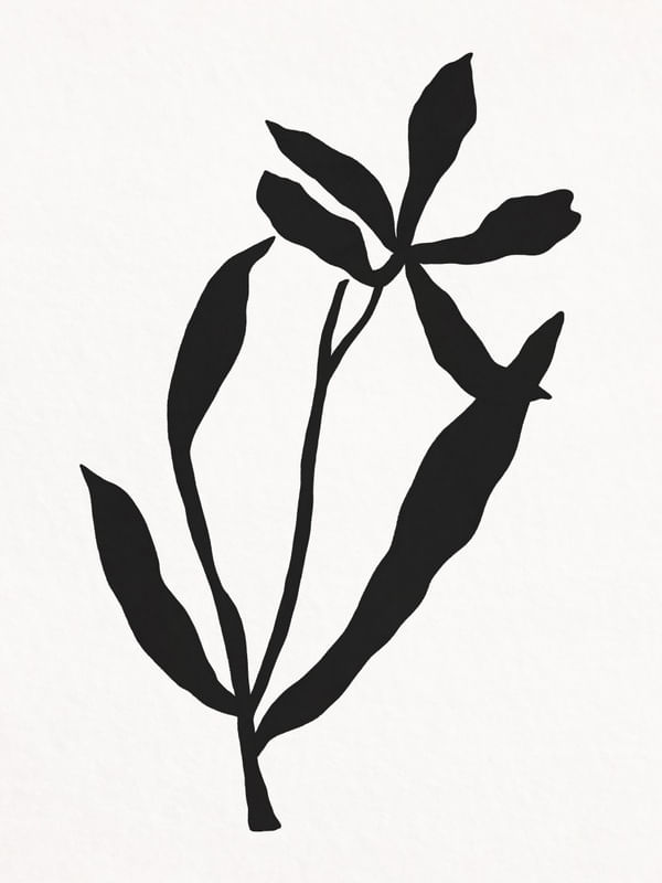 MINIMALIST PLANT - PB01