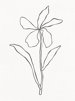 MINIMALIST PLANT - LINE02