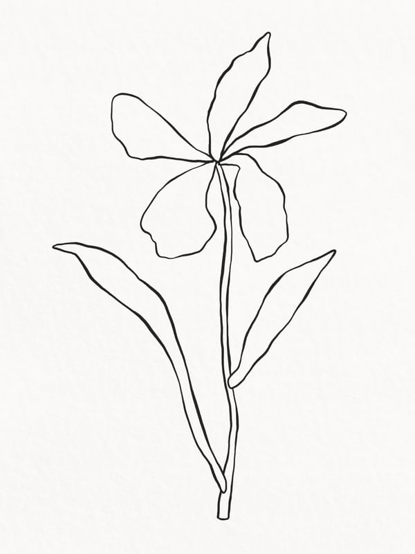 MINIMALIST PLANT - LINE02
