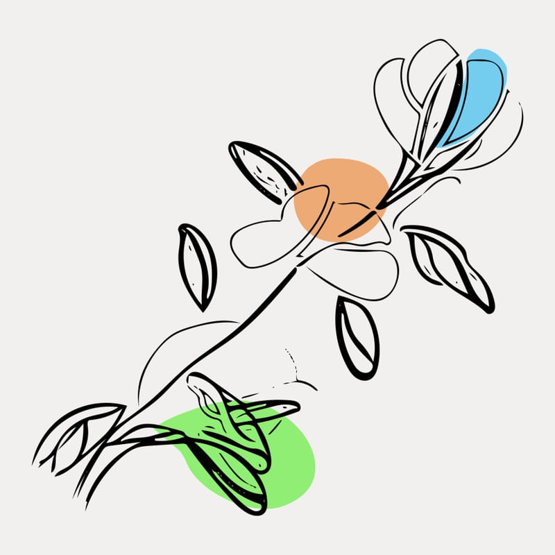 LINE ART - FLOR DE LARANJEIRA
