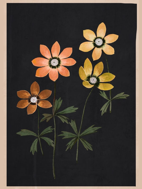 ABSTRACT FLORAL-BOTANICAL ART 1
