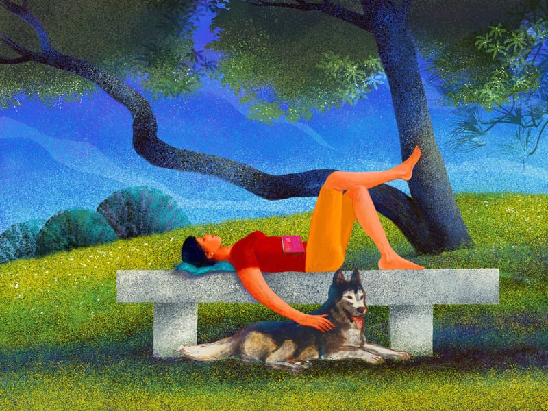 DOMINGO NO PARQUE COM PET I
