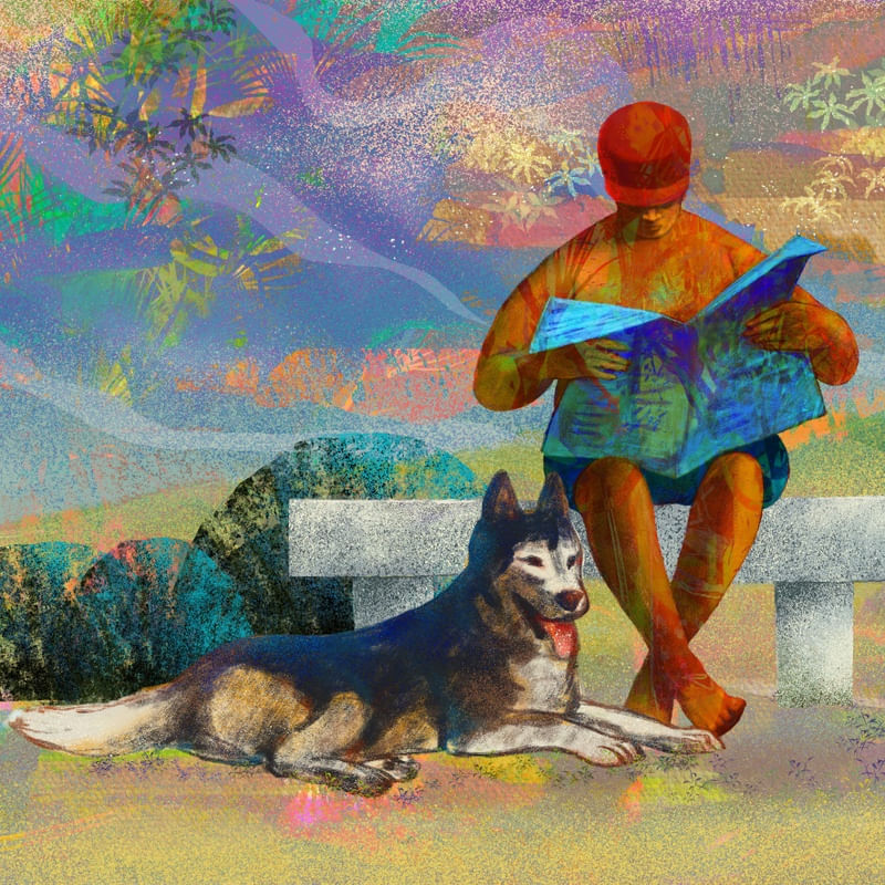 DOMINGO NO PARQUE COM PET IV
