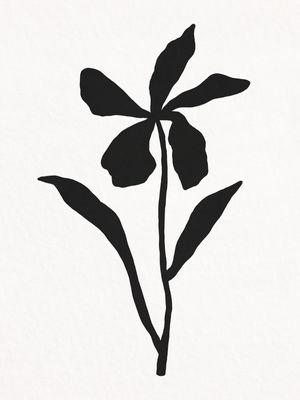 MINIMALIST PLANT - PB02