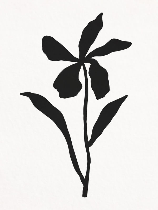 MINIMALIST PLANT - PB02