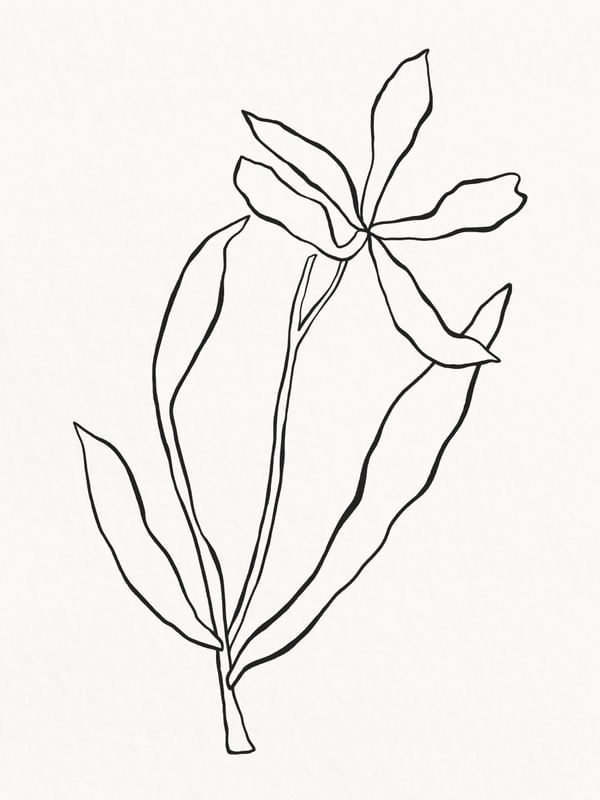 MINIMALIST PLANT - LINE01