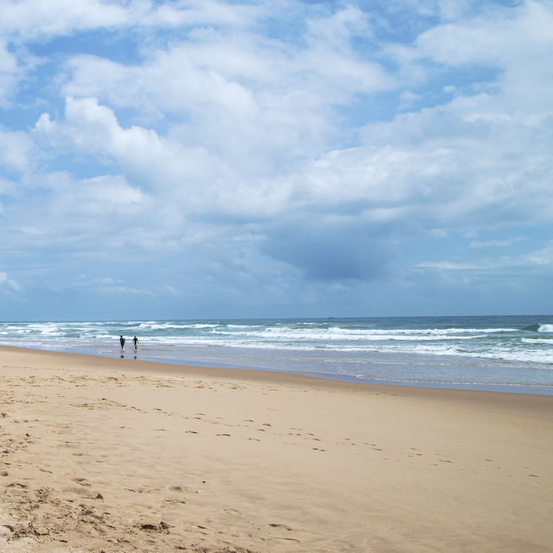 SURFISTAS DISTANTES - SEQUENCIAL 02 DE 02