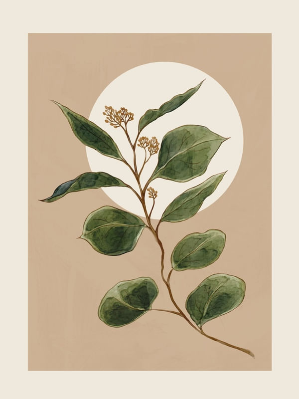 BEAUTIFUL PLANT LEAVES 1