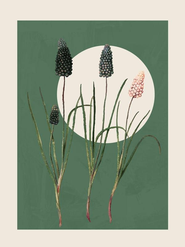 JULY FLOWERS ART 02