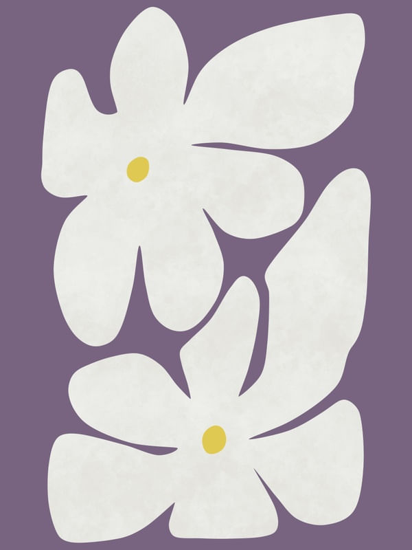WHITE NARCISSUS