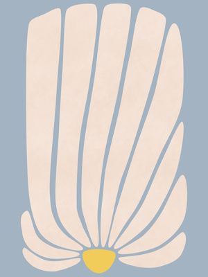 WHITE GERBERA II