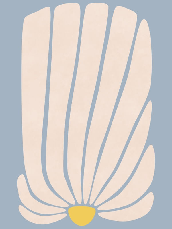 WHITE GERBERA II