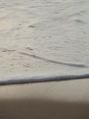 A ESPUMA