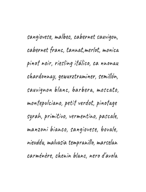 TIPOS DE VINHO