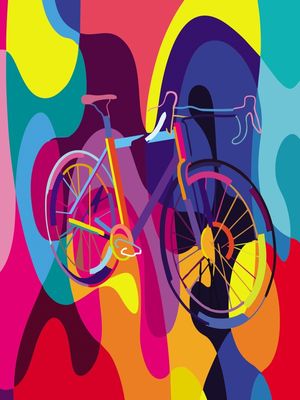 BICYCLE COLORS