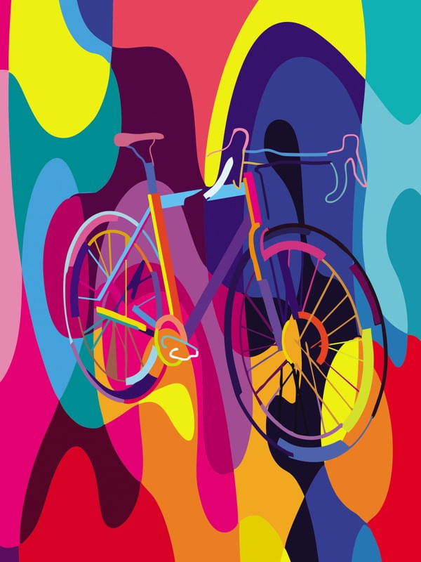 BICYCLE COLORS