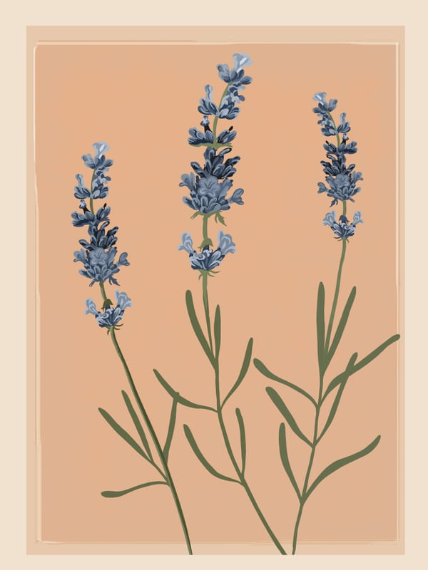 SPRIGS OF LAVENDER 1