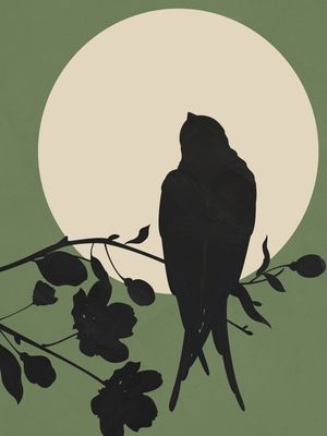 SWALLOW IN THE MOONLIGHT 1
