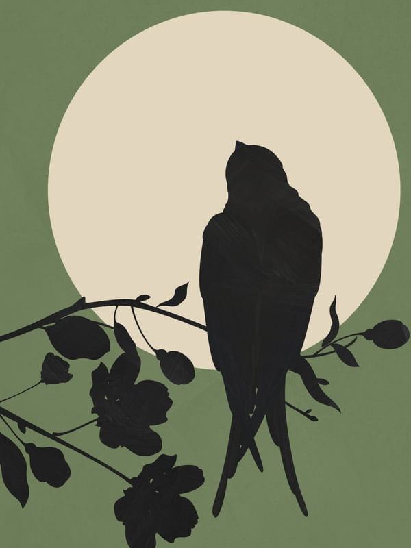 SWALLOW IN THE MOONLIGHT 1