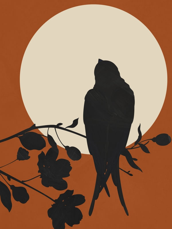 SWALLOW IN THE MOONLIGHT 2