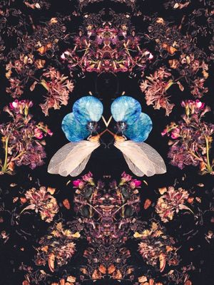 BORBOLETA DE FOLHAS SECAS