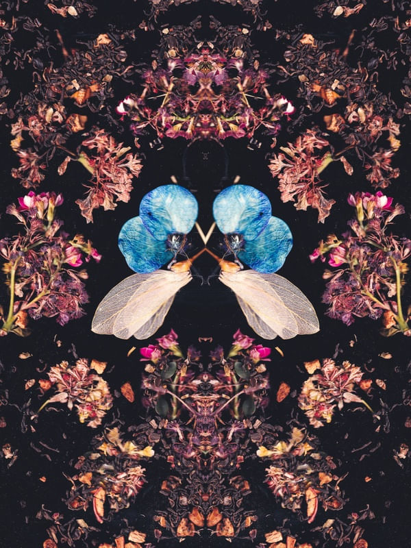 BORBOLETA DE FOLHAS SECAS