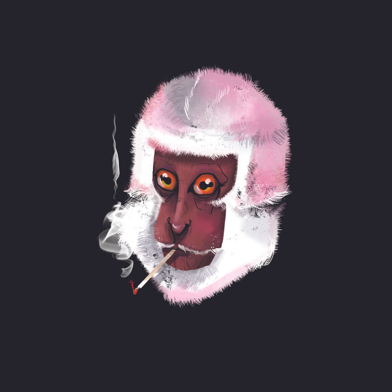 BLACK MONKEY POR BETINHO PACIULLO