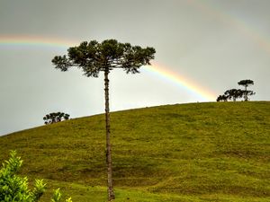 BELEZA NO CAMPO-01