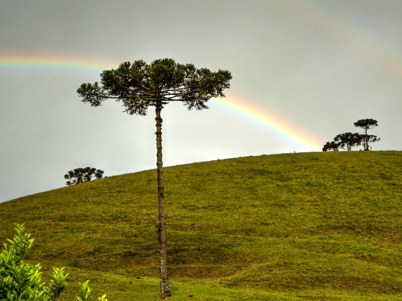 BELEZA NO CAMPO-01