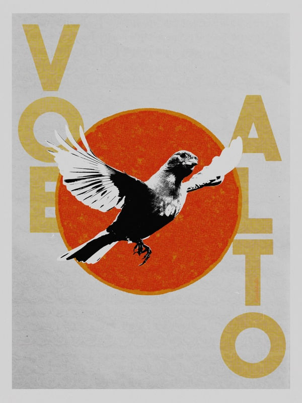 VOE ALTO 1