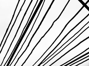 GALHOS ABSTRATOS 01