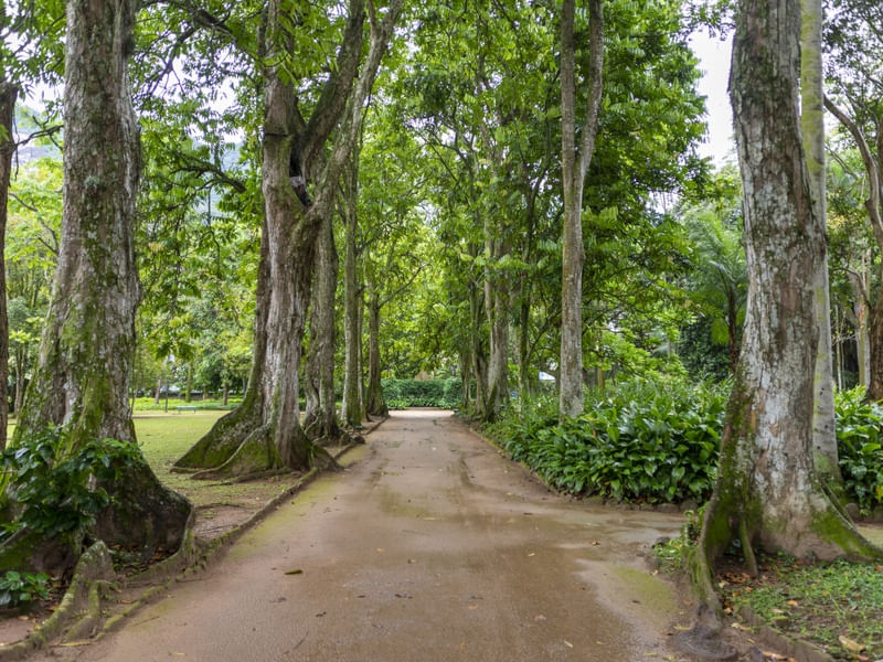 JARDIM BOTÂNICO RIO 6