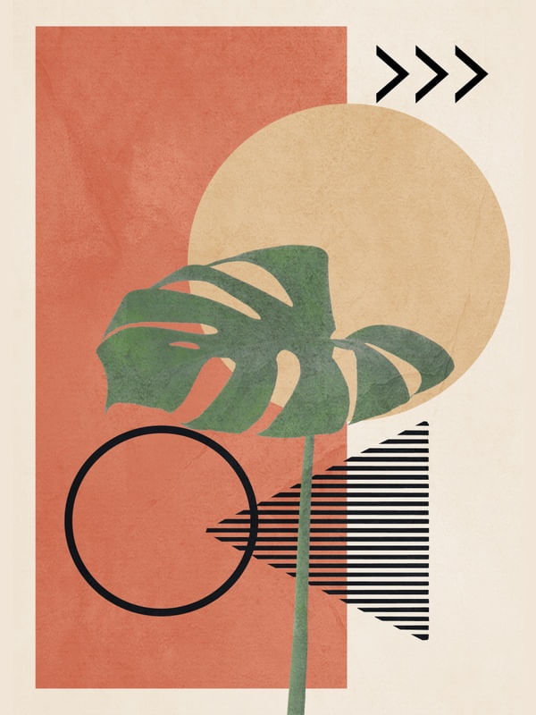 NATURE GEOMETRY I