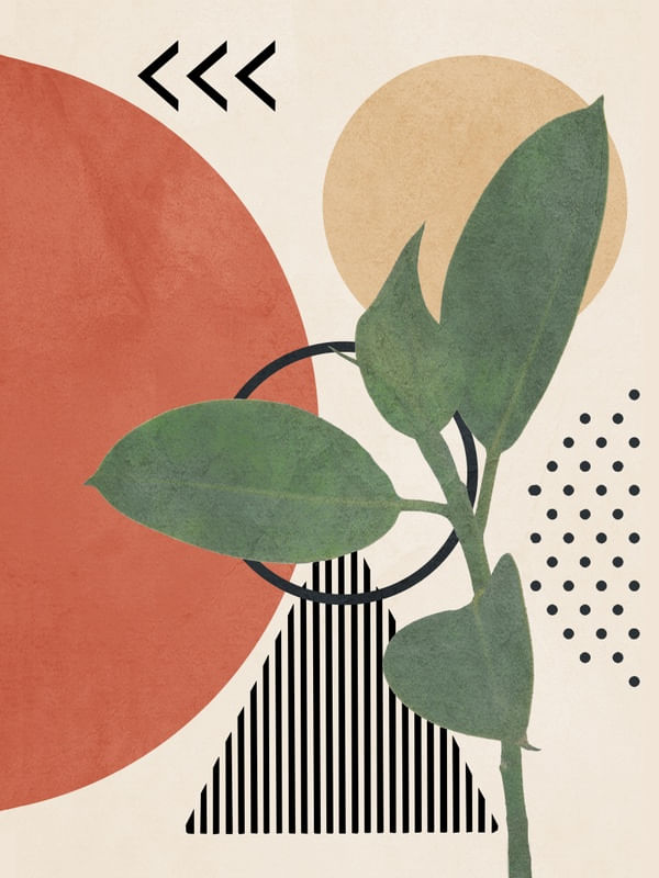 NATURE GEOMETRY II