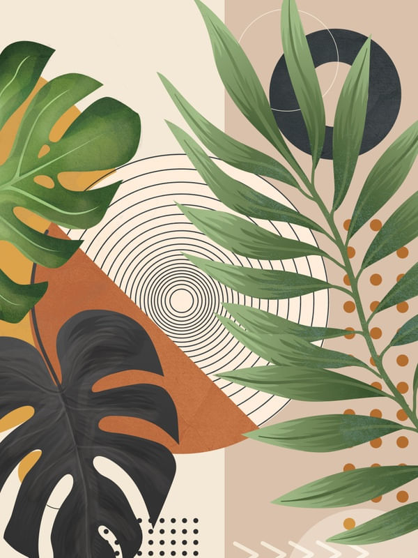 NATURE GEOMETRY XV