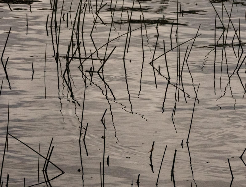 FORMAS ABSTRATAS NA LAGOA