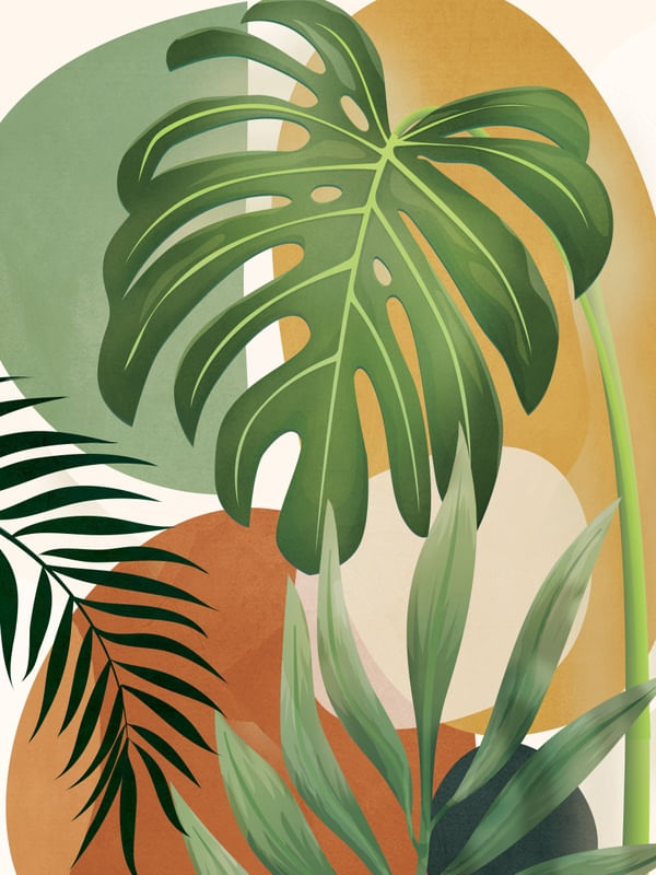 TROPICAL MOMENT 1