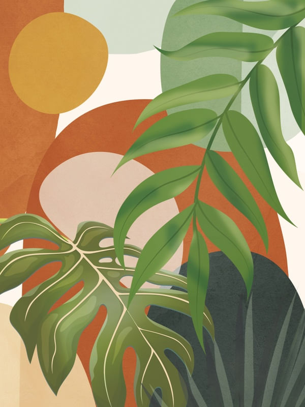 TROPICAL MOMENT 2