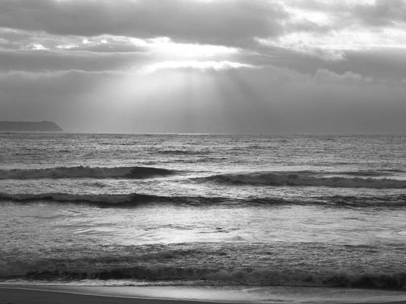 PRAIA MOLE - SOL