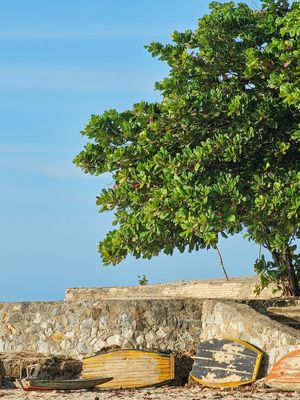 BARCOS PARACURU