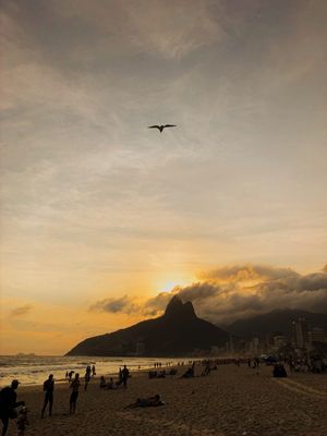 PASSAREANDO POR IPANEMA