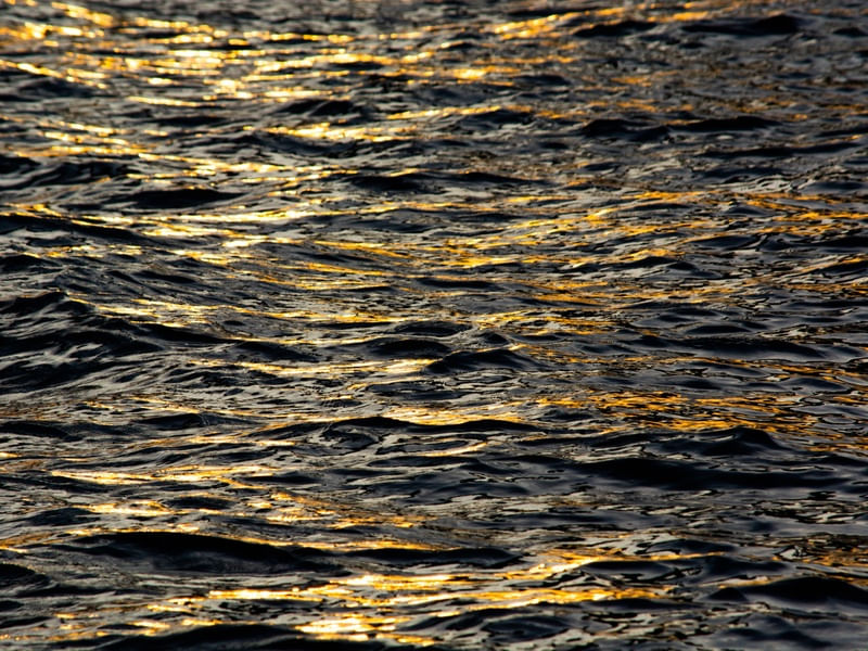 GOLDEN STRINGS ON WATER